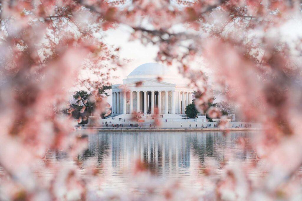 The Opening Ceremony of the 2026 National Cherry Blossom Festival at DAR Constitution Hall in Washington DC marks the official start of the spring celebration, featuring cultural performances and international traditions.
